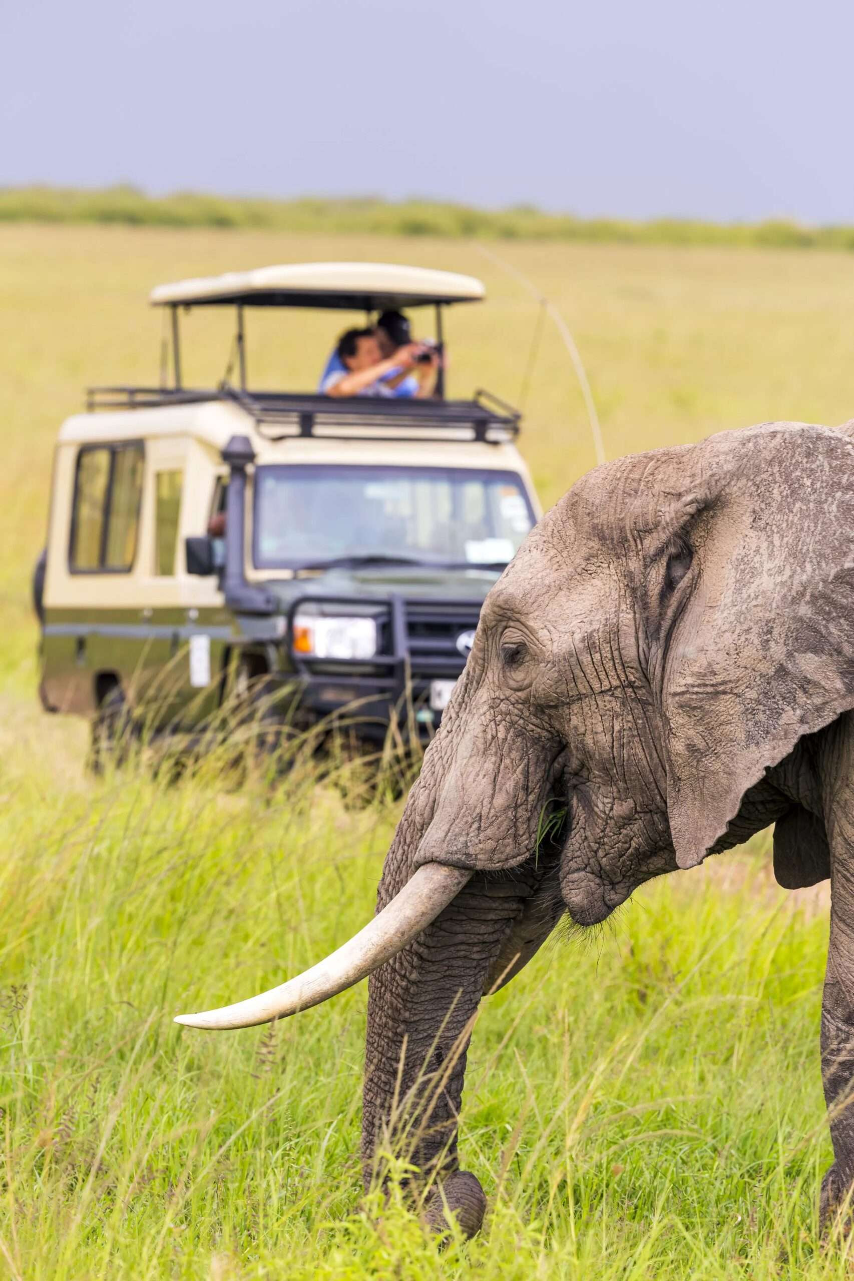 Arusha National Park Day Trip