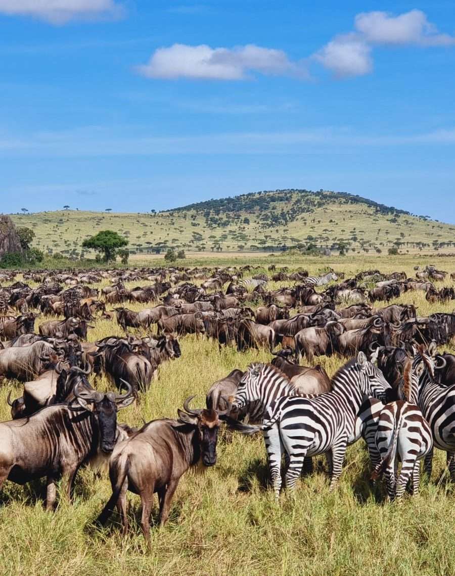 Maasai Mara Game Reserve