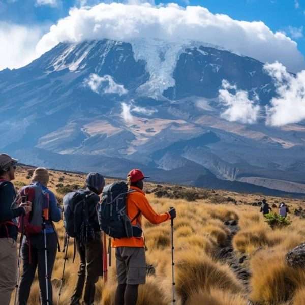 8 Day Kilimanjaro Lemosho Route