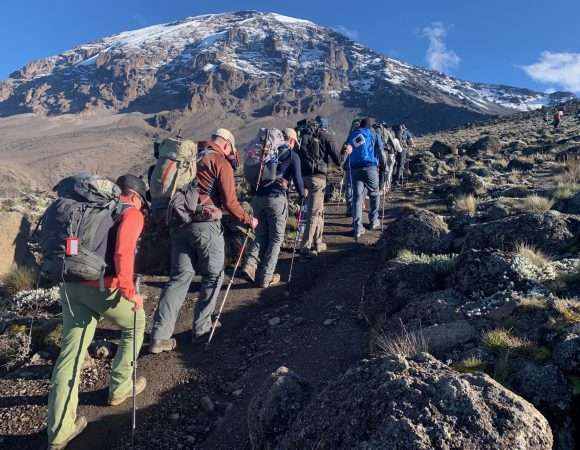 6 Day Private Trek Lemosho Route