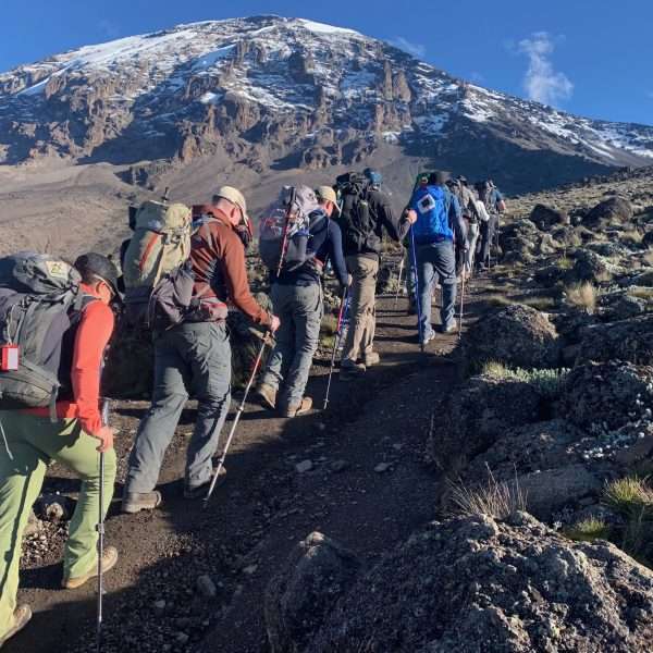 6 Day Private Trek Lemosho Route